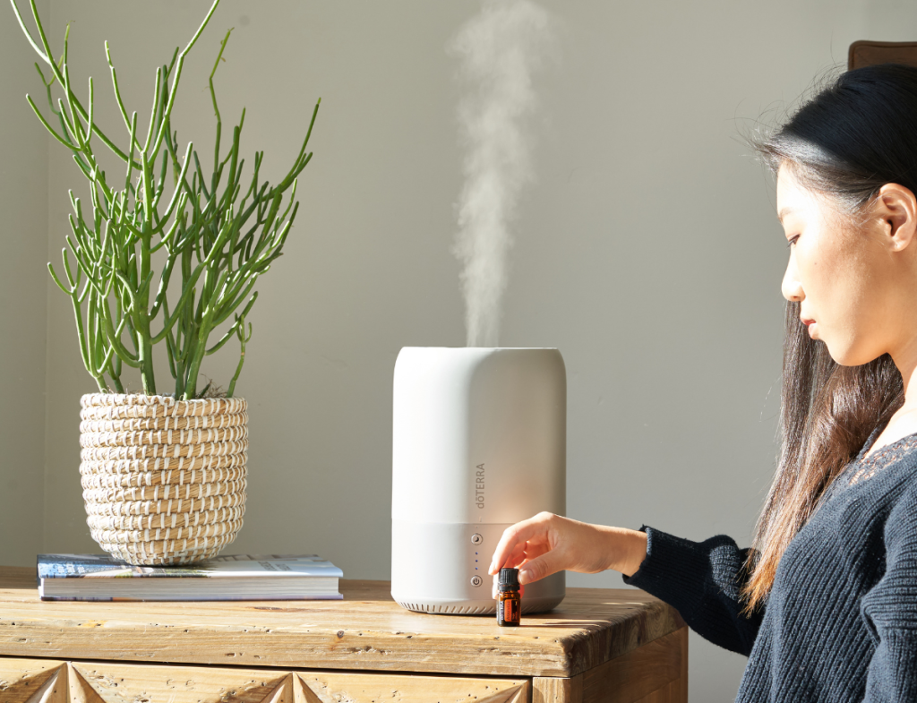 Humidifiers and Dehumidifiers