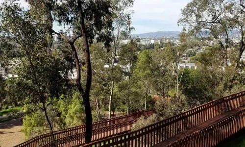 Blair Hills Neighborhood