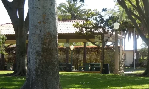 Carlson Park